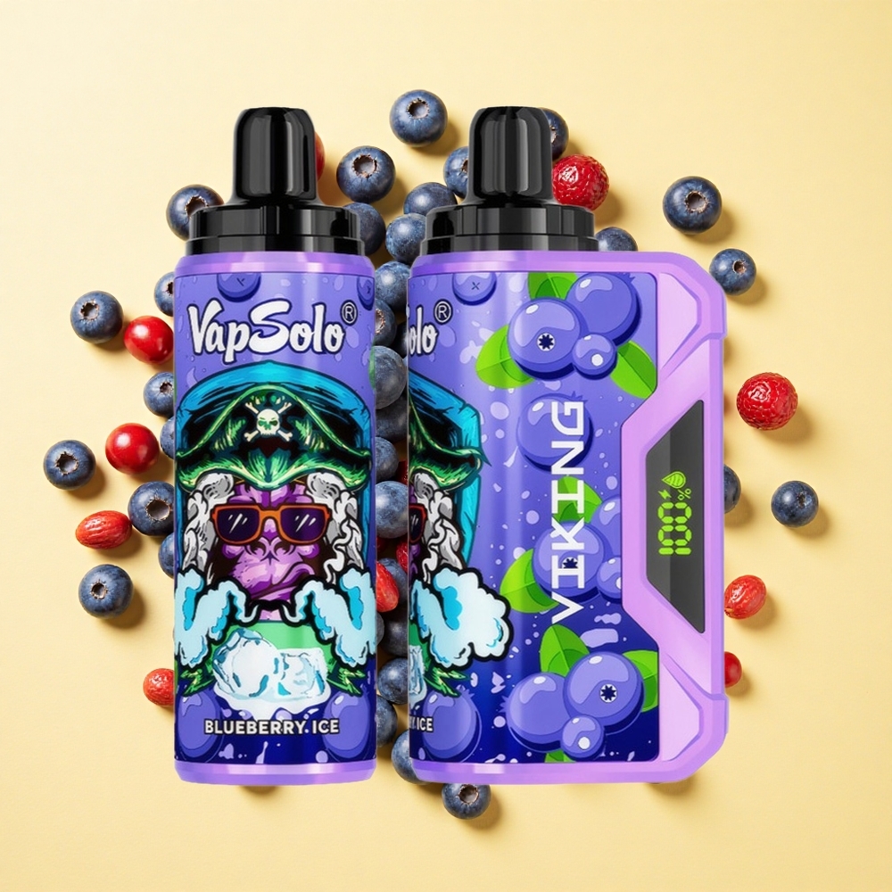 VapSolo VIKING 12000 Puffs 22ml Mustikkamaku Type-C ja LED
