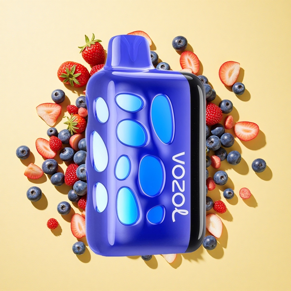 VOZOL RAVE 40000 20/50mg/ml 1000mAh Akku Mustikkajää